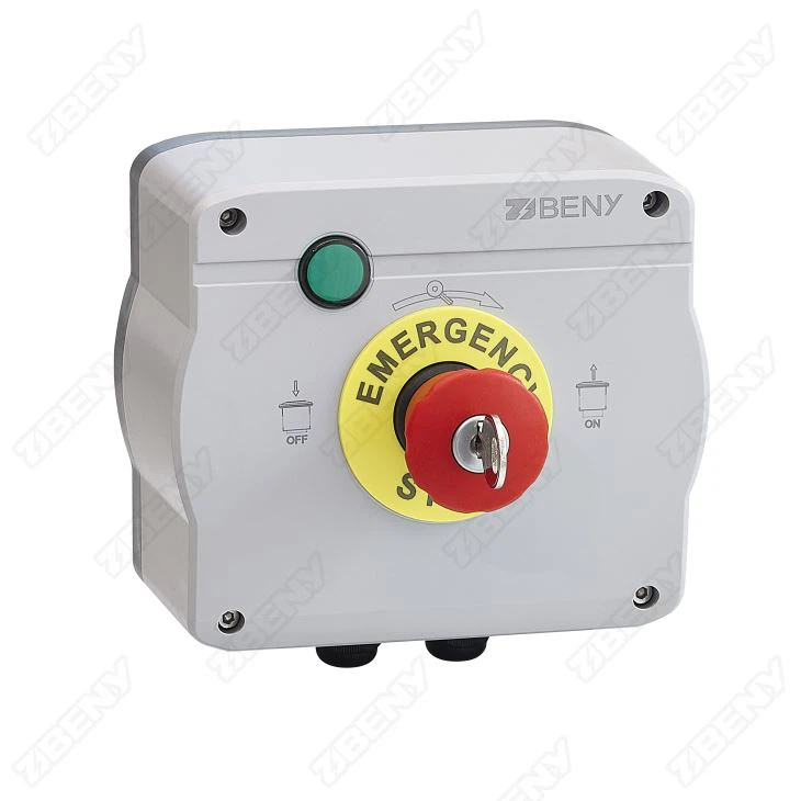 Button switch